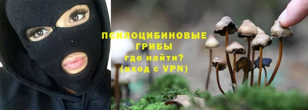 тгк Богородицк