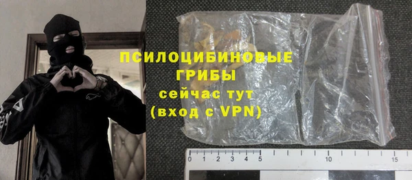 тгк Богородицк