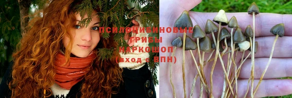 мдма Богородск